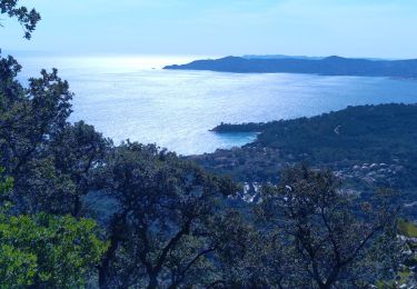 Trail Walking Le Lavandou - Rando Les Balcons de Cavalière - Photo