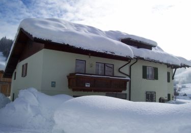 Tour Zu Fuß Rußbach am Paß Gschütt - Wanderweg Gamsfeld - Photo