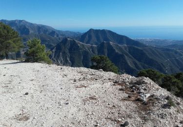 Excursión Senderismo Cómpeta - A dessus de Competa 2019 - Photo