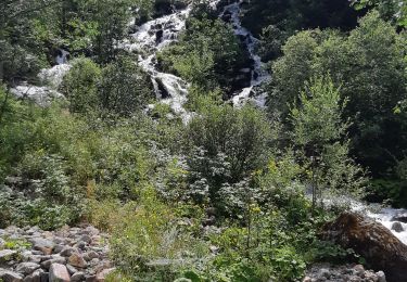 Excursión Senderismo Le Bourg-d'Oisans - lac du lauvitel  - Photo