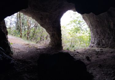 Randonnée Marche Léoncel - Grottes Piaroux  - Photo