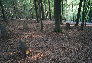 Tocht Te voet Gründau - Rundwanderweg 