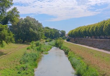 Trail Walking Montélimar - montelimar autour du roubion - Photo