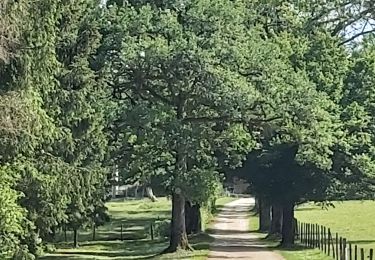 Tour Wandern Villers-sous-Chalamont - Route des sapins Montorge - Photo