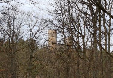 Tour Wandern Andlau - Andlau - château d'Andlau - château du Spesbourg - Photo