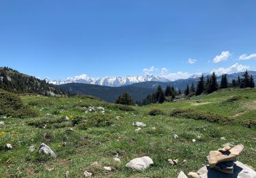 Tocht Stappen Fillière - Soudine - Photo