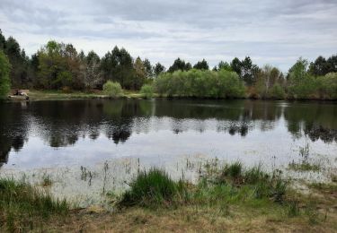 Tour Wandern Saint-Médard-en-Jalles - issac - Photo