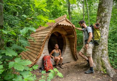 Trail On foot Hamois - Sentiers d'Art : Boucle 4 Hamois - Schaltin - Photo