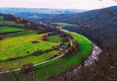 Tour Wandern Esneux - Promenade vers la Roche aux faucons  - Photo