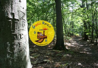 Trail Walking Coye-la-Forêt - SM_COYE la FORET_7.9Km - Photo