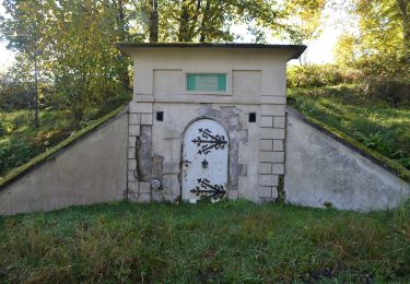 Excursión A pie Weilrod - Um den Hardtküppel - Photo