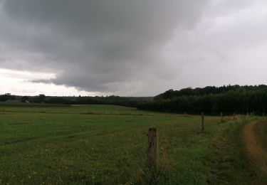 Randonnée Marche Tintigny - la quoirelle - Photo