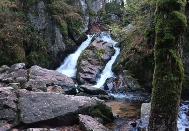 Excursión Senderismo Le Tholy - Cascades du tendon. La boucle - Photo