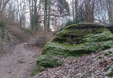 Trail Walking Theux - marché theux sasdor franchimont - Photo