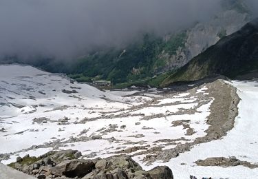 Trail Walking Chamonix-Mont-Blanc - montée refuge Albert 1er  - Photo