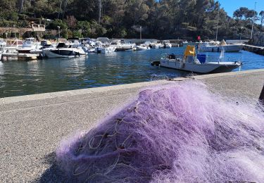 Randonnée Marche Saint-Raphaël - T-Dramont - Photo