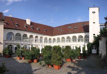 Excursión A pie Gemeinde Katzelsdorf - Katzelsdorfer Naturlehrpfad LEITHA-AU - Photo