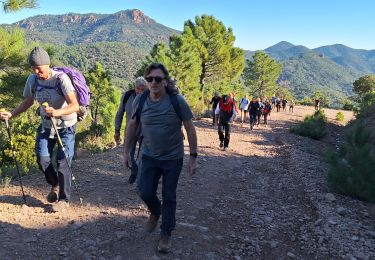 Trail Walking Fréjus - Malpey avec pierre le 15/11/2024 - Photo