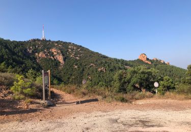 Tour Wandern Saint-Raphaël - Les Grues depuis Belle-Barbe - Photo