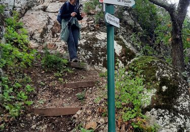 Trail Walking Le Pouzin - Le Pouzin-Couvent des Chèvres-Gommée 15km - Photo