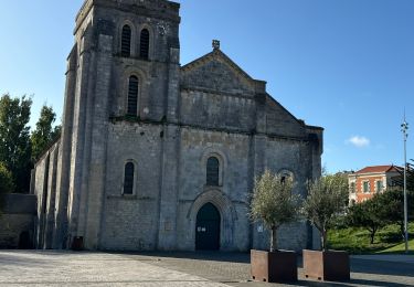 Trail Nordic walking Soulac-sur-Mer - Gr81 de Soulac à St Vivien - Photo