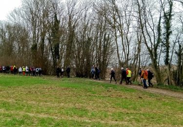 Tocht Stappen Castres - Castres du 02-04-2023 après midi  - Photo