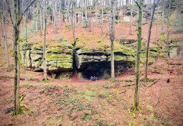 Tocht Stappen Junglinster - Itinérant Luxembourg Jour 3: Graulinster- Echternach - Photo