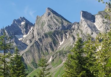 Randonnée Marche La Clusaz - aravis aiguille verte combe borderan 12kms  987m - Photo