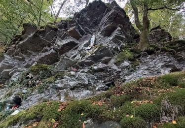 Randonnée Marche nordique Herbeumont - herbeumont - Photo