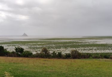 Randonnée Marche Genêts - belvédère sur le Mont Saint Michel de Genets au Groin sud - Photo