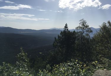 Tocht Stappen Font-Romeu-Odeillo-Via - Le Col del Pam - Photo