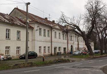 Tocht Te voet Město Albrechtice - Vycházková stezka Dubí - Photo