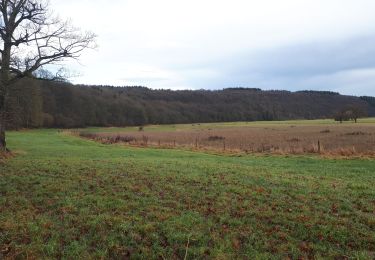 Randonnée Marche Durbuy - Petit Han - Grand Han - Photo