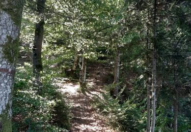 Trail Walking Pontarlier - GTJ jour 8 - Photo