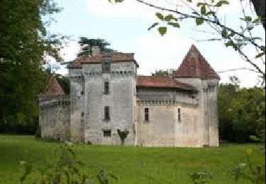 Tocht Stappen Cornille - Boucle de Cornille - Photo