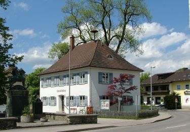 Tocht Te voet Sulzberg - Rundwanderweg Sulzberg 3 - Photo