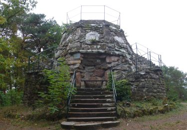 Randonnée A pied Bad Dürkheim - Forsthaus Weilach Rundwanderweg 6 - Photo