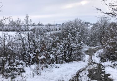 Randonnée A pied Sprimont - Louveigne -cornemont -Blindef -Stinval 8 Km - Photo