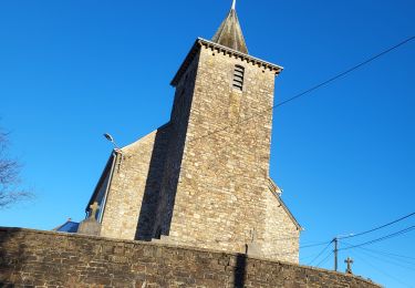 Tocht Stappen La Roche-en-Ardenne - Samree 130125 - Photo
