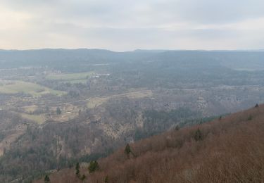 Trail Walking Longchaumois - Longchaumois Belvédère  - Photo