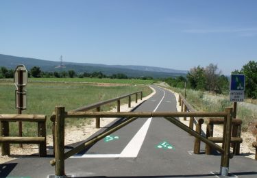 Tocht Mountainbike Cavaillon - Foret des cêdres D+850m par veloroute Calavon - Photo