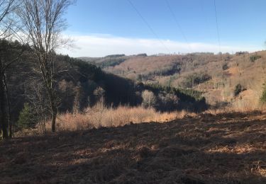 Tocht Paardrijden Fougerolles-Saint-Valbert - Sarcenot 1h avec dénivelé  - Photo