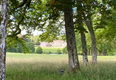 Tocht Stappen Sauternes - Châteaux de Sauternes - Photo