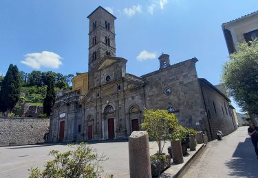 Trail Walking Acquapendente - Acquapendente / Bolsena - Photo