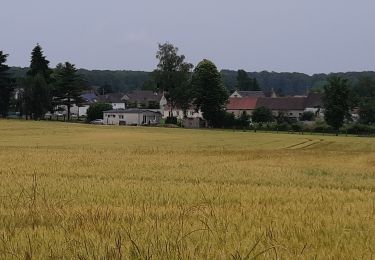 Randonnée Marche Saint-Sérotin - 210627 St. Sérotin Enfants sans cancer 12 km - Photo