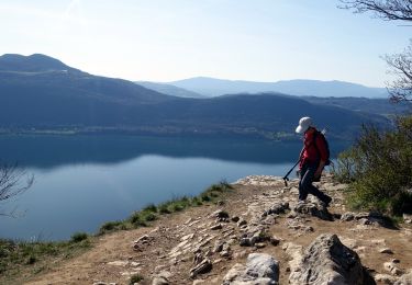 Tour Wandern Entrelacs - Chambotte-2021-03-29 - Photo