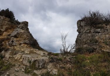 Excursión Marcha nórdica Olmet-et-Villecun - Col de la Défriche - Mont Cervel - Puech Garde - Photo