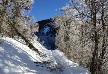 Tour Wandern Jarsy - Bauges 2021 : Jarzy - Vallée du Chérant (glacée) - Replat d'en Haut vers le mont Pécloz (-12-21).ori - Photo