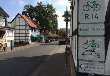 Tour Zu Fuß Borken - Bonifatiuspfad Abschnitt 6, Borken - Frielendorf - Photo