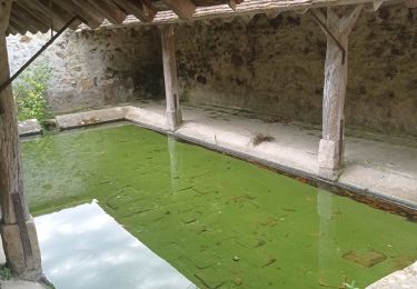 Tour Wandern Saint-Sauveur-sur-École - rerebrinville - Photo